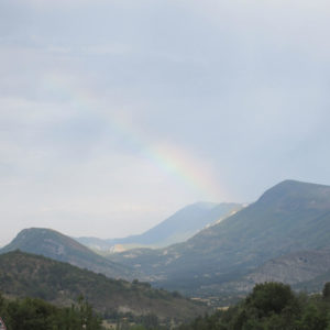 Coordonnées-du-syndicat-Petit-Epeautre-de-Haute-Provence-image-4