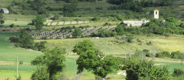 Histoire-et-terroir-Petit-Epeautre-de-Haute-Provence-1