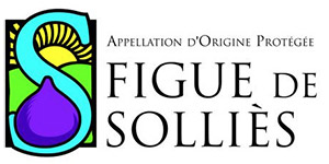 fiigue-de-sollies